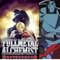 Fullmetal Alchemist Brotherhood - anime list 11